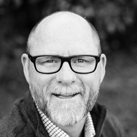 سید محمد جاوی